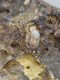 Canadian Opal In Matrix~ Burns Lake, B.C.