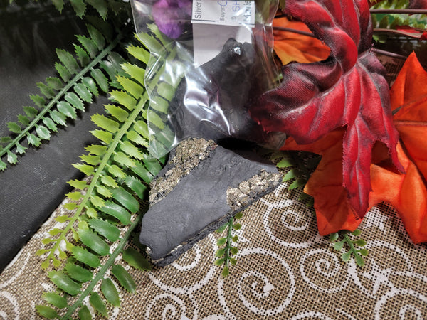 14447 October26th 2025 Live