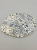 Canadian Pinolith Slab Quartz Creek, B.C.