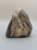 Petrified Wood Saddle Mountain