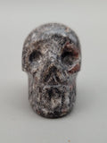 Canadian Staurolite & Garnet Skull Carving Kinbasket, B.C.