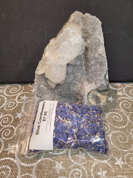 claire_natureqc September 6th 2025 Live