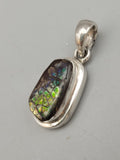 Canadian Ammolite Pendant Set in .925 Sterling Silver
