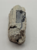 Canadian Petrified Wood Fish Lake, NWT