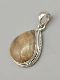 Canadian Petrified Wood Pendant Set in .925 Sterling Silver