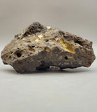 Canadian Opal In Matrix~ Burns Lake, B.C.