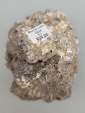 Canadian Opal In Matrix~ Burns Lake, B.C.