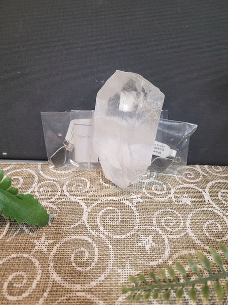 16343 November 2 Live