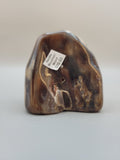 Petrified Wood Saddle Mountain