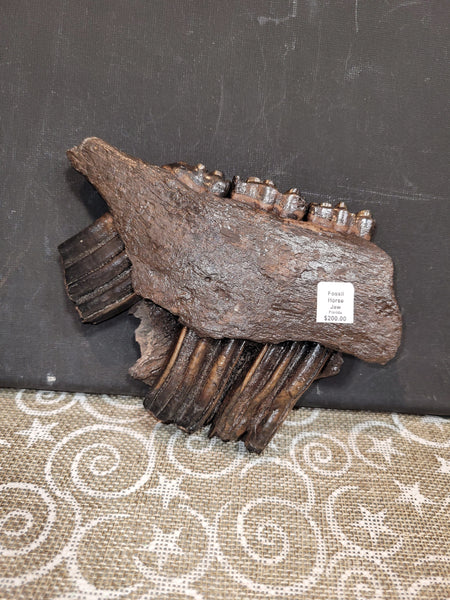 16133 September 4th 2025 Live