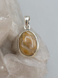 Canadian Petrified Wood Pendant Set in .925 Sterling Silver