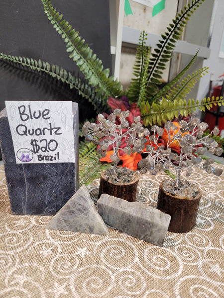 16580 October 3rd 2025 Live