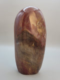Petrified Wood Free Form