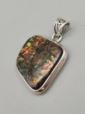 Canadian Ammolite Pendant Set in .925 Sterling Silver