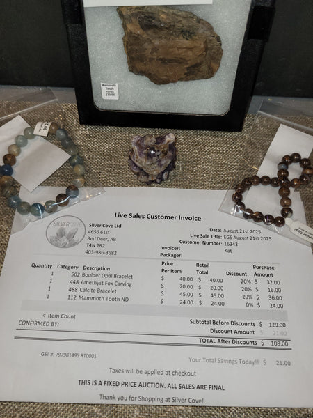 16343 August 21st Edmonton Live Show 2025