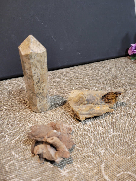 15809 April 26th 2025 Live