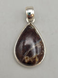 Canadian Petrified Wood Pendant Set in .925 Sterling Silver