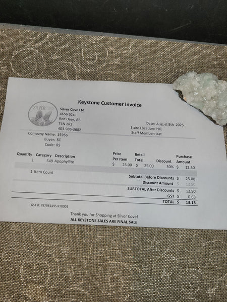 15956 August 9th 2025 Live