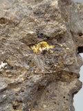 Canadian Opal In Matrix~ Burns Lake, B.C.