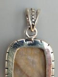 Canadian Petrified Wood Pendant Set in .925 Sterling Silver
