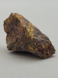 Canadian Chalcopyrite~ Tofino, B.C.
