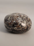 Canadian Staurolite & Garnet Palm Stone Kinbasket, B.C.