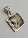 Canadian Petrified Wood Pendant Set in .925 Sterling Silver