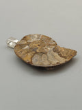 Ammonite Pendant