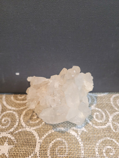 Queenoassiveaggresive November 2 Live