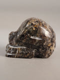 Canadian Staurolite & Garnet Skull Carving Kinbasket, B.C.