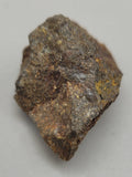 Canadian Chalcopyrite~ Tofino, B.C.