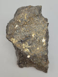 Canadian Opal In Matrix~ Burns Lake, B.C.