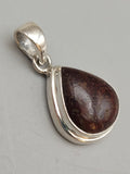 Canadian Petrified Wood Pendant Set in .925 Sterling Silver