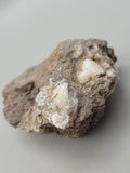 Canadian Opal In Matrix~ Burns Lake, B.C.