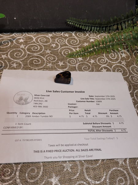 15809 September 17th 2025 Live