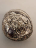 Canadian Staurolite & Garnet Palm Stone Kinbasket, B.C.