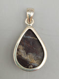 Canadian Petrified Wood Pendant Set in .925 Sterling Silver