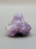 Amethyst Frog