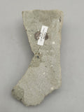 Canadian Fluorite~ Prince George, B.C.