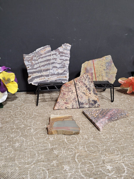 16814 July 18th 2025 Live