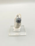 Eye Of Odin Sapphire (Lightly Oiled)