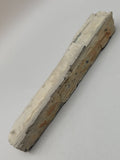 Canadian Petrified Wood Fish Lake, NWT