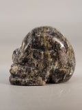 Canadian Staurolite & Garnet Skull Carving Kinbasket, B.C.