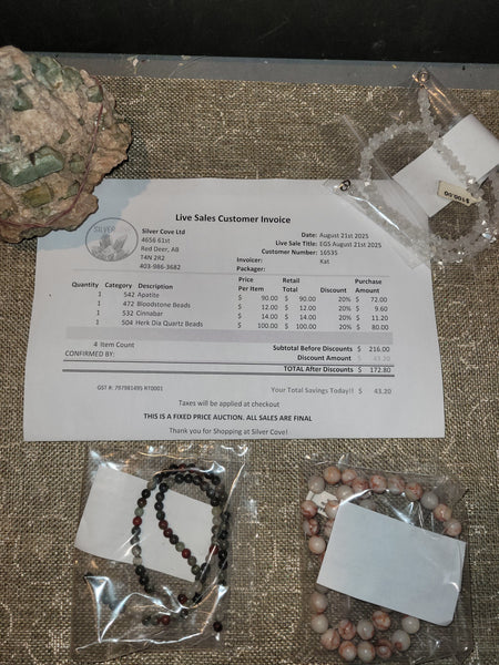 16535 August 21st Edmonton Live Show 2025