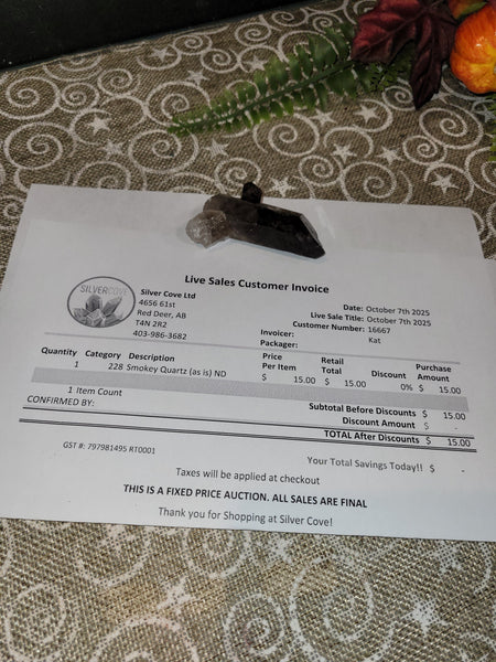 16667 October 7th 2025 Live