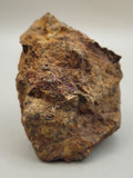 Canadian Chalcopyrite~ Tofino, B.C.