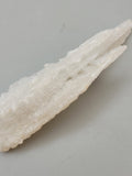 Ram Horn Selenite
