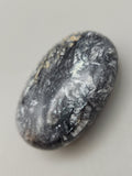 Canadian Pinolith Palm Stone Quartz Creek, B.C.