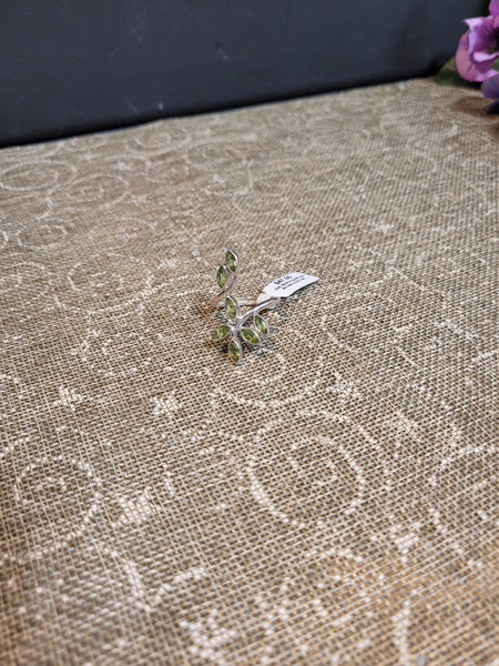 mama_bear431 May 1st 2025 Live