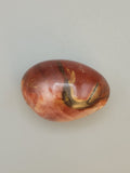 Petrified Wood